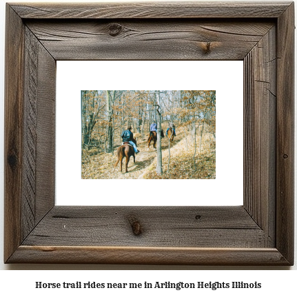 horse trail rides near me in Arlington Heights, Illinois